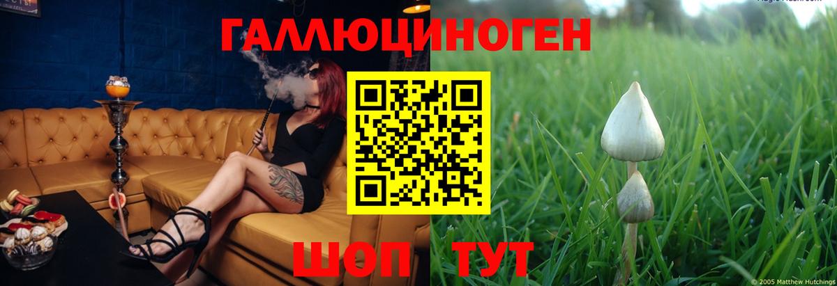 магазин продажи   Псилоцибиновые грибы MAGIC MUSHROOMS  Галлюциногенные грибы прущие грибы  Вход с VPN  Кизляр 